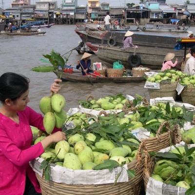 FULL DAY GROUP TOUR: SAIGON - MEKONG DELTA - CAI BE - VINH LONG