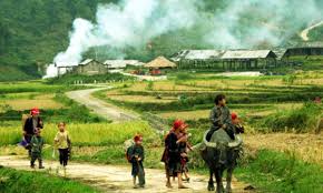 Sapa