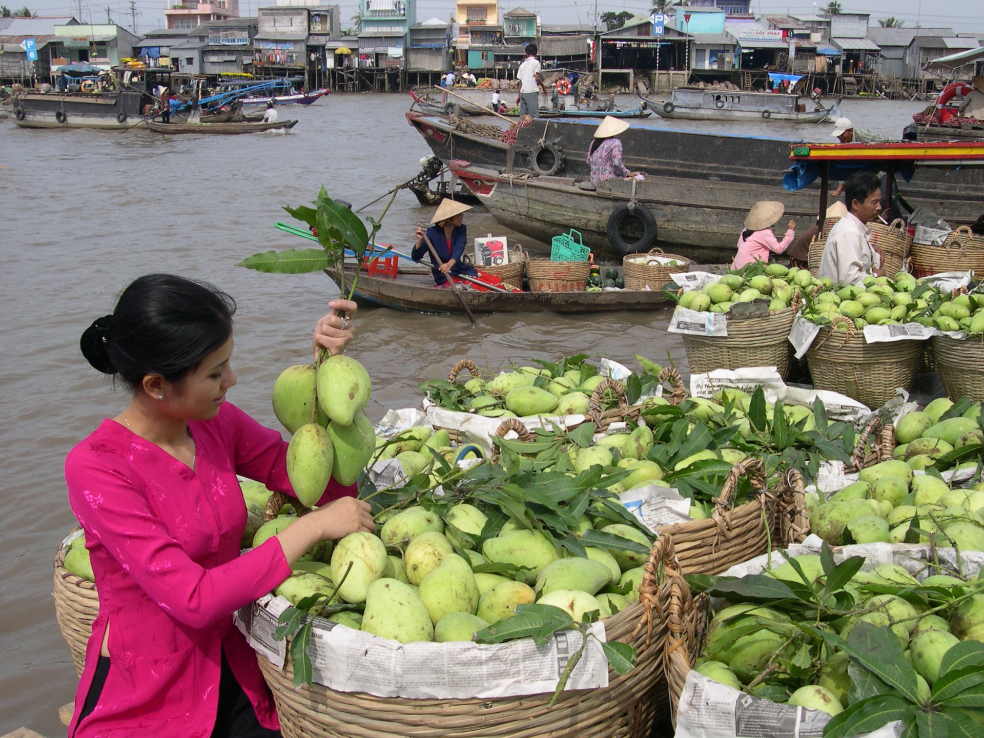 FULL DAY GROUP TOUR: SAIGON - MEKONG DELTA - CAI BE - VINH LONG