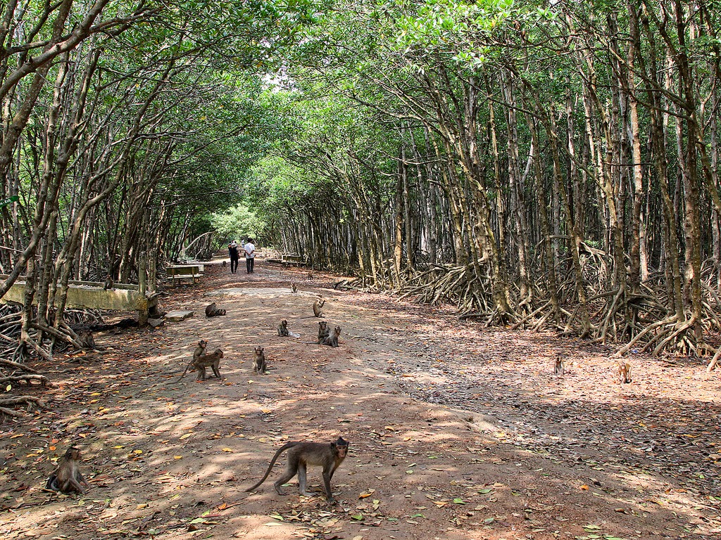 FULL DAY GROUP TOUR: SAIGON - CAN GIO ECOLOGIC AND MONKEY